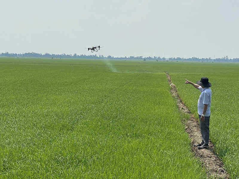 Hiệu quả công tác chuyển đổi số ở huyện Tam Nông