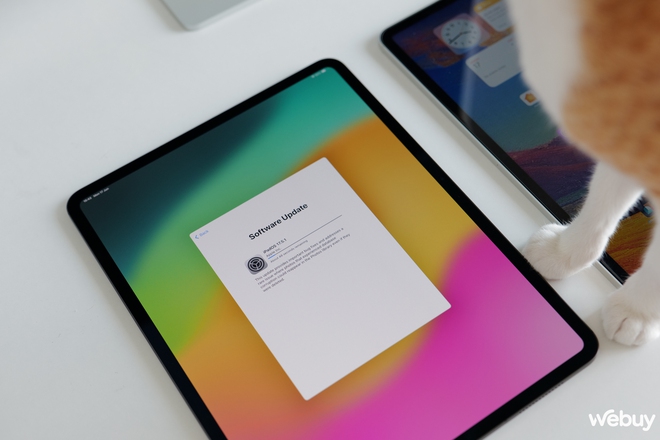 iPad Pro bán chạy nhất thế giới: Hoá ra là nhờ lý do này- Ảnh 5. iPad Pro bán chạy nhất thế giới: Hoá ra là nhờ lý do này- Ảnh 5.