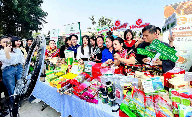 Thái Nguyên: Hỗ trợ doanh nghiệp, hợp tác xã 