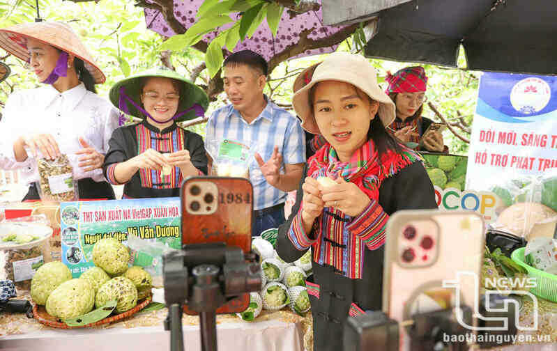 Các nhóm bán hàng trực tiếp na La Hiên và nông sản Thái Nguyên trên mạng xã hội.