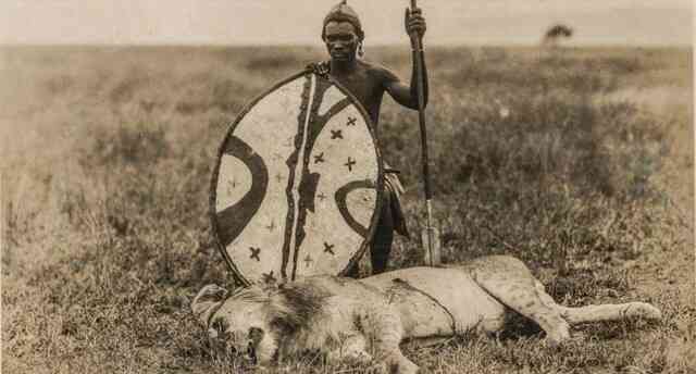 Sư tử thậm chí còn không sợ voi, vậy tại sao chúng lại sợ người Maasai? - Ảnh 4. Sư tử thậm chí còn không sợ voi, vậy tại sao chúng lại sợ người Maasai? - Ảnh 4.