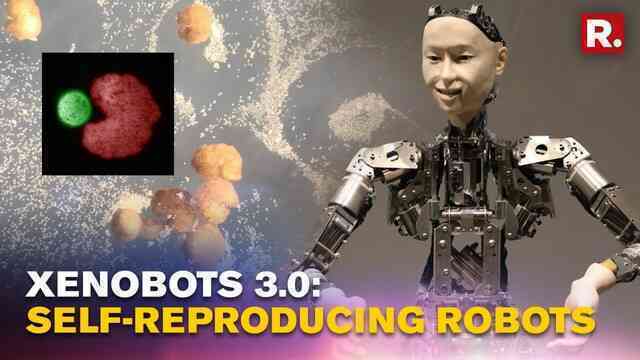 Robot sống tự sinh sản: Bước đột phá khoa học và những hệ lụy tiềm ẩn- Ảnh 4. Robot sống tự sinh sản: Bước đột phá khoa học và những hệ lụy tiềm ẩn- Ảnh 4.