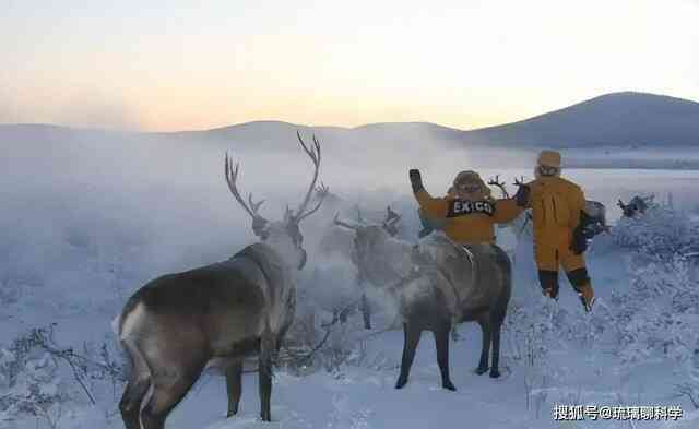 Việc bài tiết trong môi trường âm 70 độ C của mùa đông tại Siberia diễn ra như thế nào?- Ảnh 5. Việc bài tiết trong môi trường âm 70 độ C của mùa đông tại Siberia diễn ra như thế nào?- Ảnh 5.