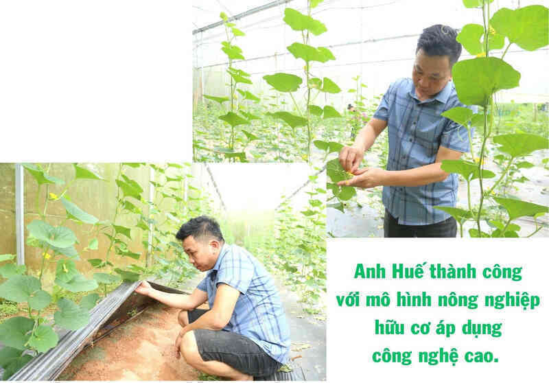 Giám đốc của những 