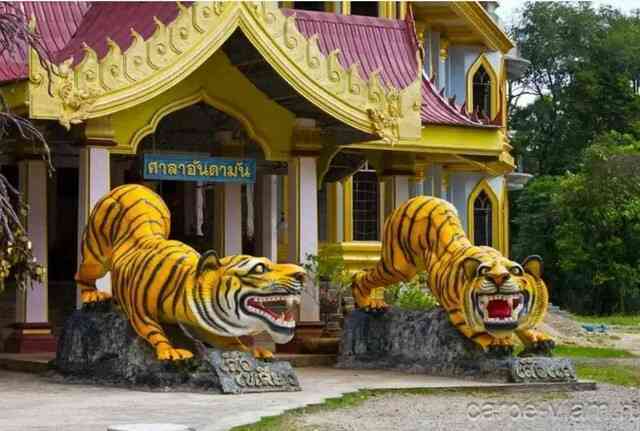 Sự thật về chùa Wat Pha Luang Ta Bua: Nơi được mệnh danh là có thể cảm hóa được loài hổ thành động vật ăn chay!- Ảnh 2. Sự thật về chùa Wat Pha Luang Ta Bua: Nơi được mệnh danh là có thể cảm hóa được loài hổ thành động vật ăn chay!- Ảnh 2.