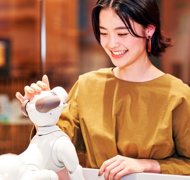 Sony ra mắt chó Aibo phiên bản giới hạn, giá gần 50 triệu đồng- Ảnh 3. Sony ra mắt chó Aibo phiên bản giới hạn, giá gần 50 triệu đồng- Ảnh 3.