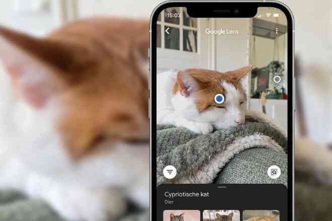 Google Chrome cập nhật tính năng tìm kiếm mới với Google Lens- Ảnh 2. Google Chrome cập nhật tính năng tìm kiếm mới với Google Lens- Ảnh 2.