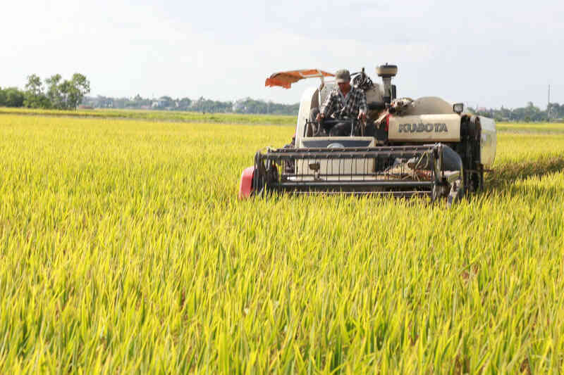 Sơn La đẩy mạnh chuyển đổi số trên cả 3 trụ cột chính