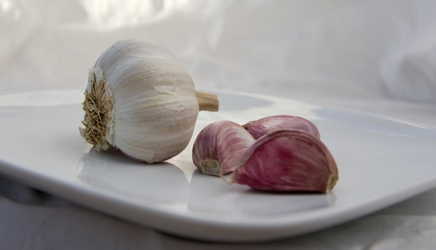 Làm gì để tránh ngộ độc thực phẩm trong và sau mùa bão lũ?- Ảnh 4. Làm gì để tránh ngộ độc thực phẩm trong và sau mùa bão lũ?- Ảnh 4.