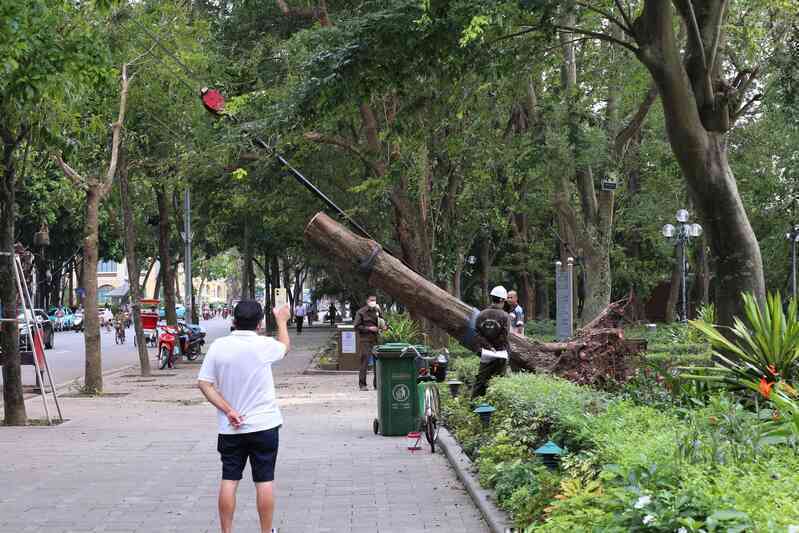 Chùm ảnh: Toàn cảnh Hà Nội sau một tuần bị ảnh hưởng bởi bão YAGI- Ảnh 14. Chùm ảnh: Toàn cảnh Hà Nội sau một tuần bị ảnh hưởng bởi bão YAGI- Ảnh 14.
