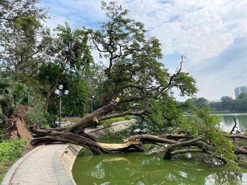 Chùm ảnh: Toàn cảnh Hà Nội sau một tuần bị ảnh hưởng bởi bão YAGI- Ảnh 8. Chùm ảnh: Toàn cảnh Hà Nội sau một tuần bị ảnh hưởng bởi bão YAGI- Ảnh 8.