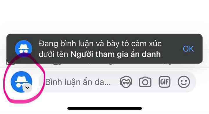 Cách bật tính năng comment ẩn danh trên Facebook- Ảnh 2. Cách bật tính năng comment ẩn danh trên Facebook- Ảnh 2.