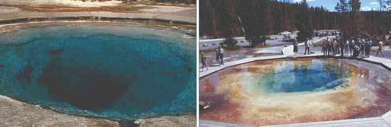 Hồ Morning Glory của Yellowstone 'lột xác' thành màu cầu vồng vì một lý do mà chẳng ai ngờ tới