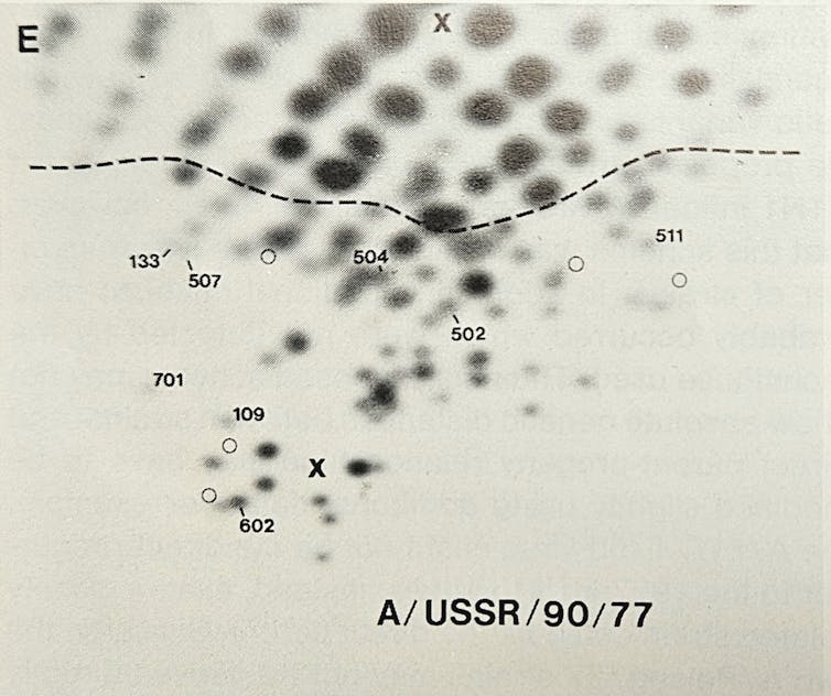 Bí ẩn Cúm Nga năm 1977: Một đại dịch tự ứng nghiệm từ “lỗ hổng không-thời gian” trong Chiến tranh Lạnh- Ảnh 7. Bí ẩn Cúm Nga năm 1977: Một đại dịch tự ứng nghiệm từ “lỗ hổng không-thời gian” trong Chiến tranh Lạnh- Ảnh 7.