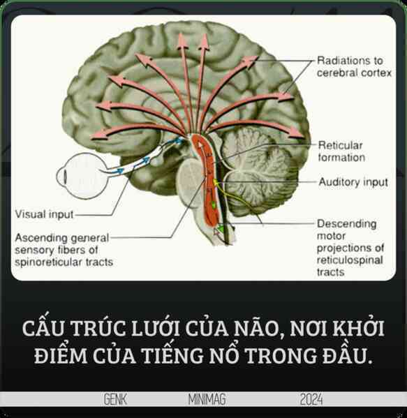 Giấc mơ mặc khải của Descartes hay "Hội chứng đầu nổ tung": Thứ đã mở ra toàn bộ hình học giải tích không gian và nền triết học cho nhân loại- Ảnh 13. Giấc mơ mặc khải của Descartes hay "Hội chứng đầu nổ tung": Thứ đã mở ra toàn bộ hình học giải tích không gian và nền triết học cho nhân loại- Ảnh 13.