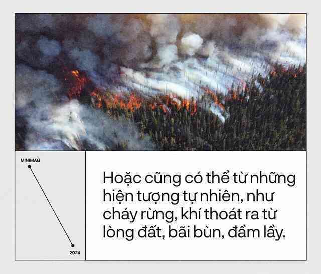 Trái Đất đã “hạ sốt”, sau 13 tháng nóng nhất lịch sử: Một cuộc tập dượt cho kịch bản hậu tận thế- Ảnh 11. Trái Đất đã “hạ sốt”, sau 13 tháng nóng nhất lịch sử: Một cuộc tập dượt cho kịch bản hậu tận thế- Ảnh 11.