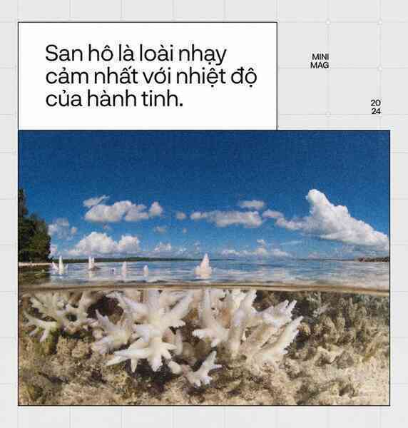 Trái Đất đã “hạ sốt”, sau 13 tháng nóng nhất lịch sử: Một cuộc tập dượt cho kịch bản hậu tận thế- Ảnh 13. Trái Đất đã “hạ sốt”, sau 13 tháng nóng nhất lịch sử: Một cuộc tập dượt cho kịch bản hậu tận thế- Ảnh 13.