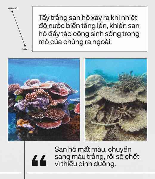 Trái Đất đã “hạ sốt”, sau 13 tháng nóng nhất lịch sử: Một cuộc tập dượt cho kịch bản hậu tận thế- Ảnh 16. Trái Đất đã “hạ sốt”, sau 13 tháng nóng nhất lịch sử: Một cuộc tập dượt cho kịch bản hậu tận thế- Ảnh 16.