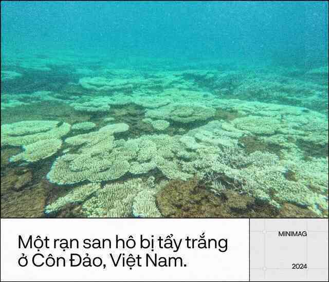 Trái Đất đã “hạ sốt”, sau 13 tháng nóng nhất lịch sử: Một cuộc tập dượt cho kịch bản hậu tận thế- Ảnh 17. Trái Đất đã “hạ sốt”, sau 13 tháng nóng nhất lịch sử: Một cuộc tập dượt cho kịch bản hậu tận thế- Ảnh 17.