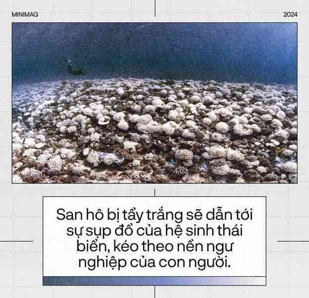 Trái Đất đã “hạ sốt”, sau 13 tháng nóng nhất lịch sử: Một cuộc tập dượt cho kịch bản hậu tận thế- Ảnh 19. Trái Đất đã “hạ sốt”, sau 13 tháng nóng nhất lịch sử: Một cuộc tập dượt cho kịch bản hậu tận thế- Ảnh 19.