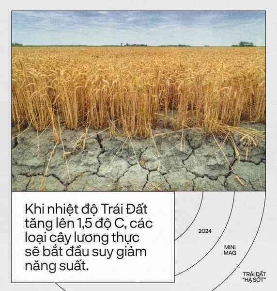 Trái Đất đã “hạ sốt”, sau 13 tháng nóng nhất lịch sử: Một cuộc tập dượt cho kịch bản hậu tận thế- Ảnh 21. Trái Đất đã “hạ sốt”, sau 13 tháng nóng nhất lịch sử: Một cuộc tập dượt cho kịch bản hậu tận thế- Ảnh 21.
