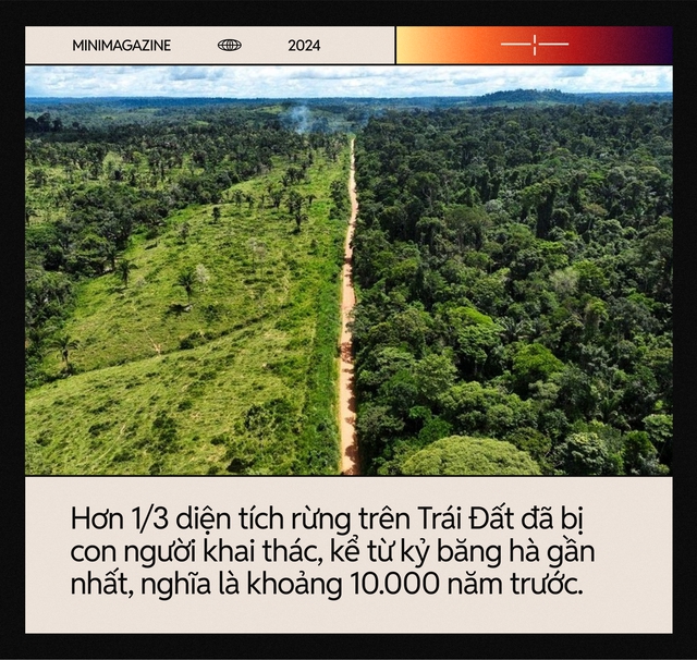 Hết siêu nắng nóng lại đến cuồng phong bão lũ: Chúng ta đang ở trong Hết siêu nắng nóng lại đến cuồng phong bão lũ: Chúng ta đang ở trong