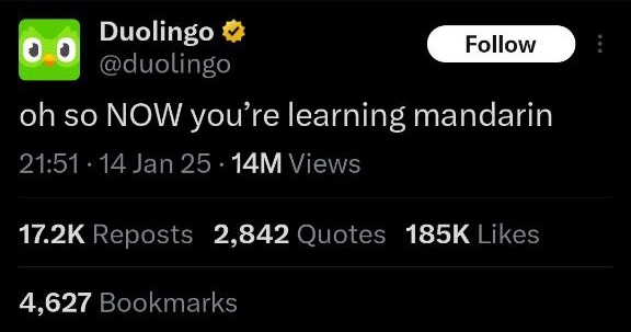 Người dùng TikTok Mỹ tràn sang Tiểu Hồng Thư, lượng người Mỹ học tiếng Trung trên Duolingo tăng 216%- Ảnh 2. Người dùng TikTok Mỹ tràn sang Tiểu Hồng Thư, lượng người Mỹ học tiếng Trung trên Duolingo tăng 216%- Ảnh 2.