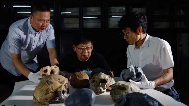 Hộp sọ 1 triệu năm tuổi hé lộ manh mối về nguồn gốc của người Neanderthal, người Denisova và cả con người- Ảnh 2. Hộp sọ 1 triệu năm tuổi hé lộ manh mối về nguồn gốc của người Neanderthal, người Denisova và cả con người- Ảnh 2.