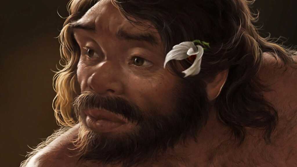 Hộp sọ 1 triệu năm tuổi hé lộ manh mối về nguồn gốc của người Neanderthal, người Denisova và cả con người- Ảnh 3. Hộp sọ 1 triệu năm tuổi hé lộ manh mối về nguồn gốc của người Neanderthal, người Denisova và cả con người- Ảnh 3.