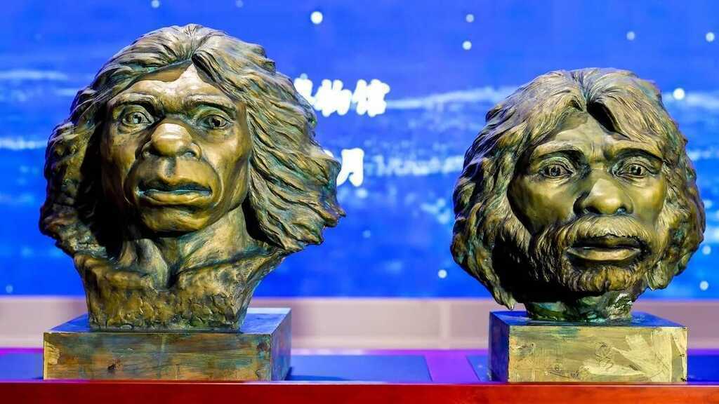 Hộp sọ 1 triệu năm tuổi hé lộ manh mối về nguồn gốc của người Neanderthal, người Denisova và cả con người- Ảnh 4. Hộp sọ 1 triệu năm tuổi hé lộ manh mối về nguồn gốc của người Neanderthal, người Denisova và cả con người- Ảnh 4.
