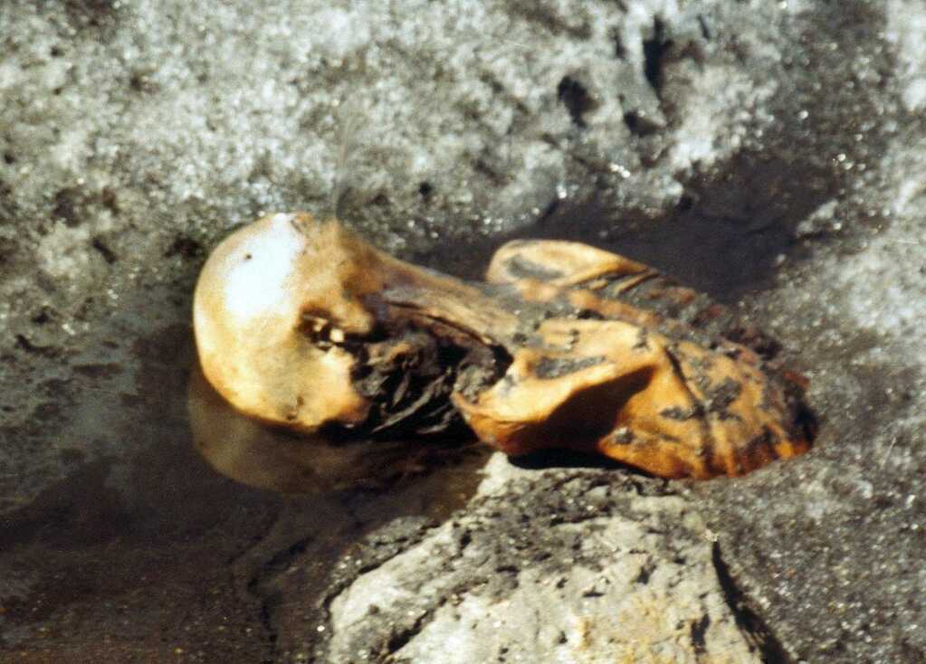 Người băng Ötzi: Sự thật mới hé lộ bí ẩn 5.000 năm về cái chết của người đàn ông bị chôn vùi trong băng