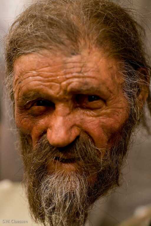 Người băng Ötzi: Sự thật mới hé lộ bí ẩn 5.000 năm về cái chết của người đàn ông bị chôn vùi trong băng- Ảnh 4. Người băng Ötzi: Sự thật mới hé lộ bí ẩn 5.000 năm về cái chết của người đàn ông bị chôn vùi trong băng- Ảnh 4.