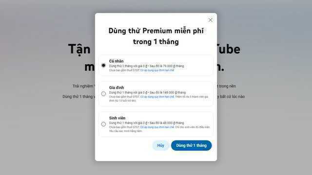 Tạm biệt quảng cáo, YouTube Premium siêu rẻ chỉ từ 25.000Đ/tháng: Đây 3 cách đăng ký chính chủ ngay tại Việt Nam- Ảnh 2.