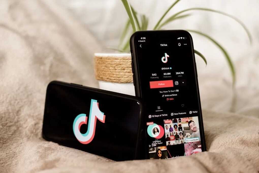 Người dùng tuyệt đối không làm theo những video này trên TikTok - 1
