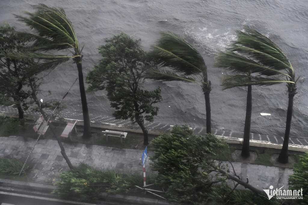 AI ‘nhập cuộc’ tìm kiếm cứu hộ - bài toán thực tế tại Zalo AI Challenge 2025