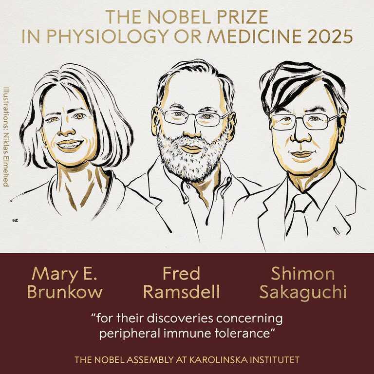 Giải Nobel Y sinh 2025 được trao cho ba nhà khoa học nhờ khám phá cơ chế 'phanh' hệ miễn dịch của con người