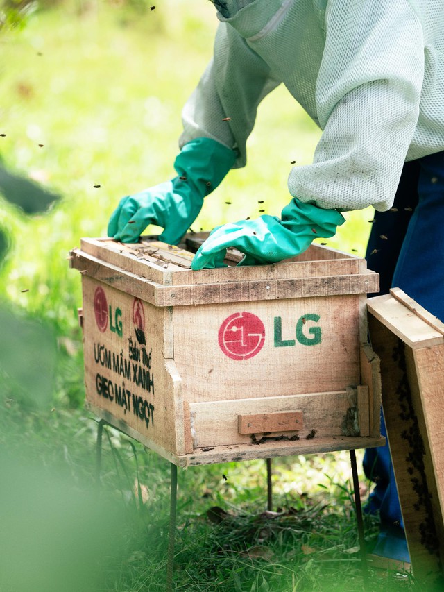 Đại sứ Cộng đồng LG 2025: Hành trình cùng cộng đồng kiến tạo tương lai bền vững