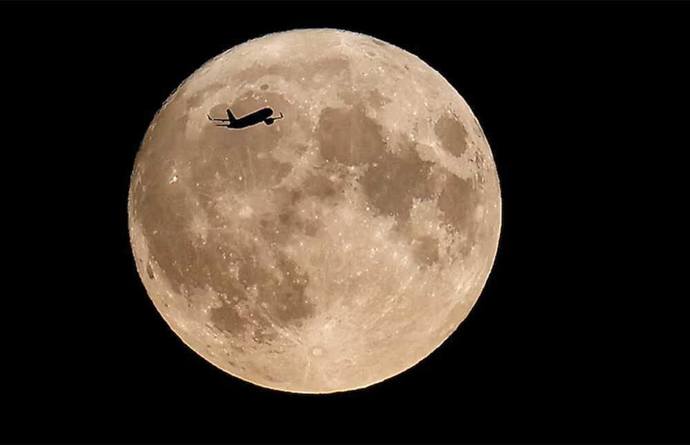 Sieu trang Viet Nam 3.png