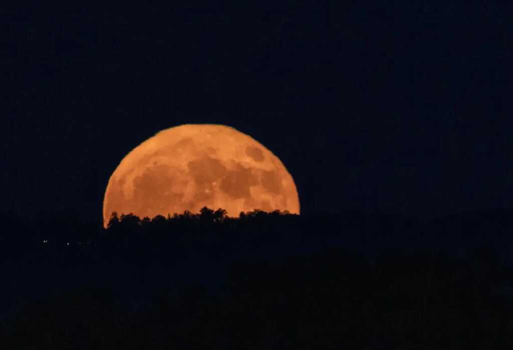 Sieu trang Viet Nam 2.png