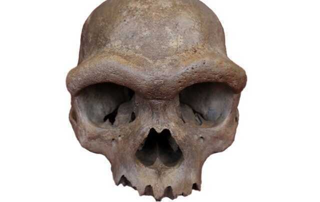 Mười đột phá khoa học của năm 2025 viết lại nền móng tương lai nhân loại - Ảnh 6.