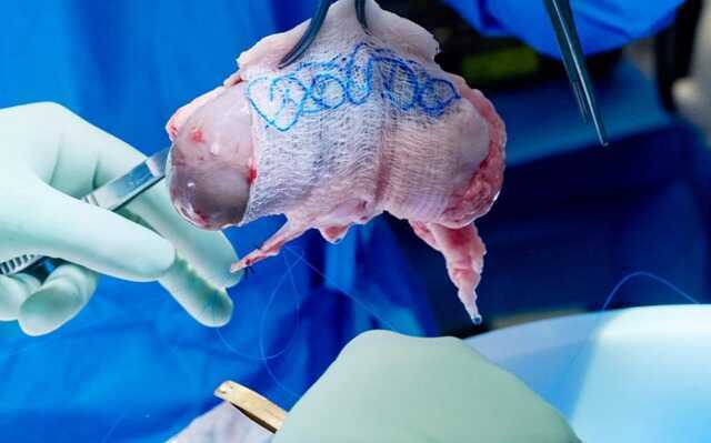 Mười đột phá khoa học của năm 2025 viết lại nền móng tương lai nhân loại - Ảnh 9.