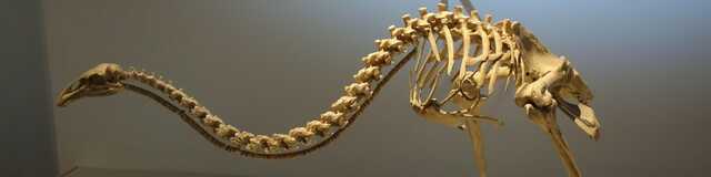 Những câu chuyện khoa học nổi bật nhất năm 2025: Từ tham vọng hồi sinh quái thú đến những "cú quay xe" đầy tranh cãi