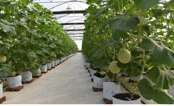 Chuyển đổi số ngành tài nguyên và môi trường trong kỷ nguyên dữ liệu