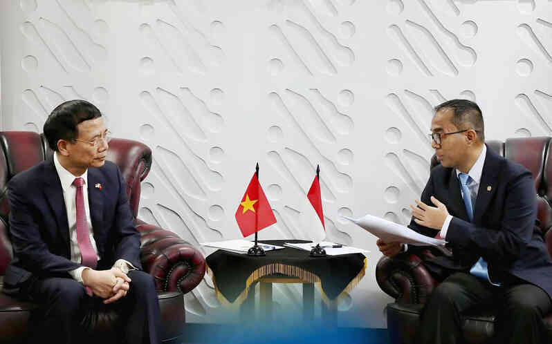 vn undo 2.jpg