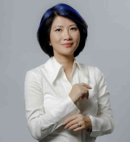 CEO Sieu Viet Group.jpg