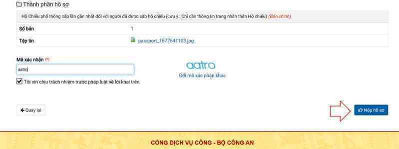 ho chieu gan chip 11 1089.png