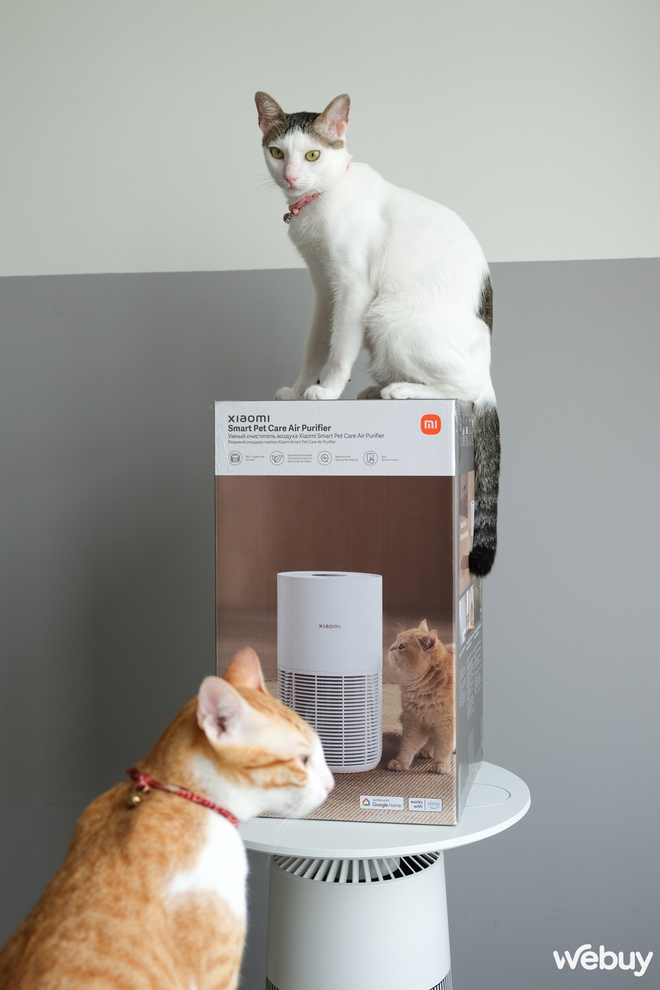 Dùng thử Xiaomi Smart Pet Care Air Purifier: Giải pháp gọn nhẹ cho “sen” nuôi chó mèo, thiết kế xinh, giá 2.6 triệu