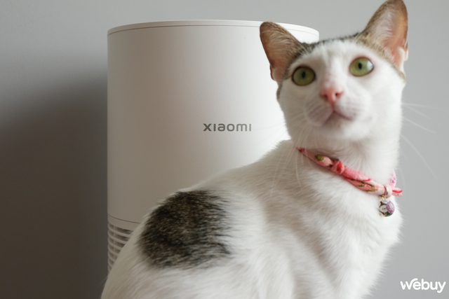 Dùng thử Xiaomi Smart Pet Care Air Purifier: Giải pháp gọn nhẹ cho “sen” nuôi chó mèo, thiết kế xinh, giá 2.6 triệu- Ảnh 4. Dùng thử Xiaomi Smart Pet Care Air Purifier: Giải pháp gọn nhẹ cho “sen” nuôi chó mèo, thiết kế xinh, giá 2.6 triệu- Ảnh 4.