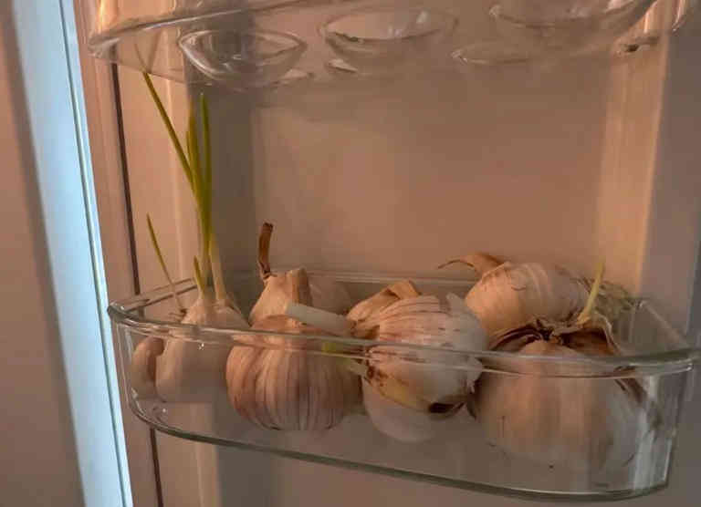 Bác sĩ đến chơi nhà, mở tủ lạnh ra bỗng thét lên: Bác sĩ đến chơi nhà, mở tủ lạnh ra bỗng thét lên: