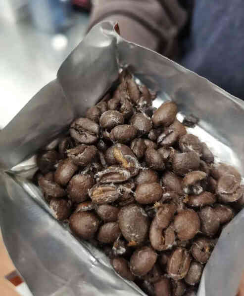 Bác sĩ đến chơi nhà, mở tủ lạnh ra bỗng thét lên: Bác sĩ đến chơi nhà, mở tủ lạnh ra bỗng thét lên: